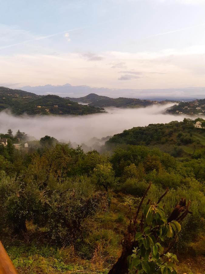 ペルージャ La Dimora Degli Angeli Bed & Breakfast エクステリア 写真