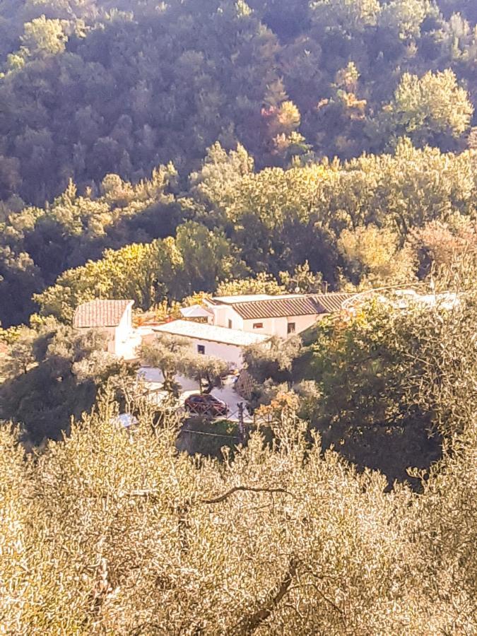 ペルージャ La Dimora Degli Angeli Bed & Breakfast エクステリア 写真